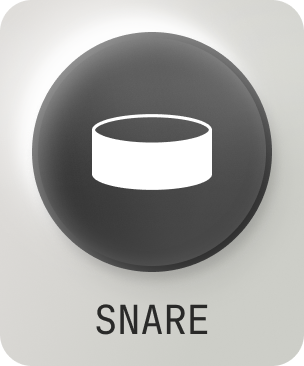 Snare